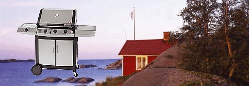 Bild: grill-kopiera.gif